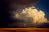 728gewitter1.JPG (24853 Byte)