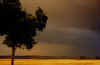 728gewitter2.JPG (30394 Byte)