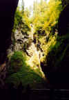 731macohaschlucht.JPG (51440 Byte)