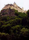 802altenburg.JPG (38462 Byte)