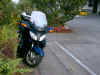 01es_wird_herbst.jpg (123220 Byte)