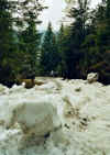 601junischnee.JPG (37003 Byte)