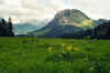 601vorderthal.JPG (28892 Byte)