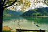 601waeggitalersee.JPG (42611 Byte)