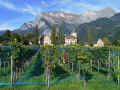 6schloss05.jpg (136192 Byte)